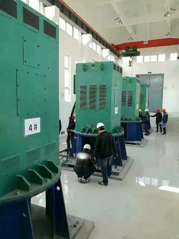 潮州某污水处理厂使用我厂的立式高压电机安装现场